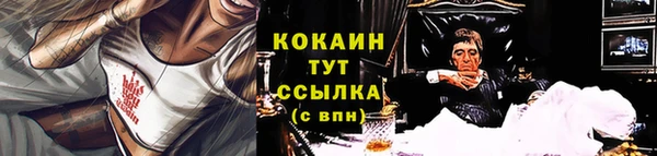 сатива Ельня