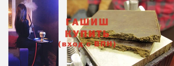 сатива Ельня