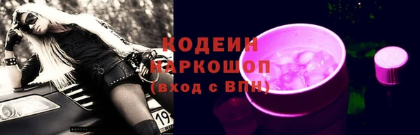 сатива Ельня
