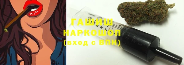 сатива Ельня