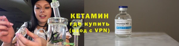 сатива Ельня