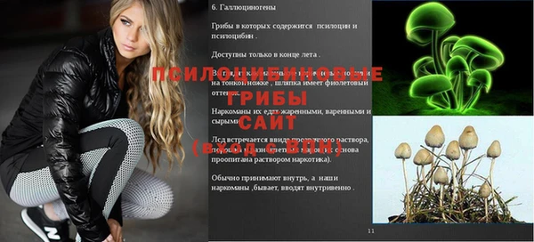 дурь Котовск