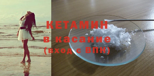 сатива Ельня